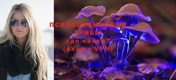 твердый Алексеевка