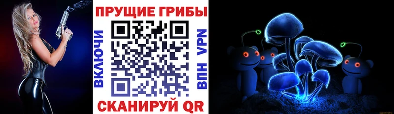 Галлюциногенные грибы мухоморы  kraken ССЫЛКА  Елец 
